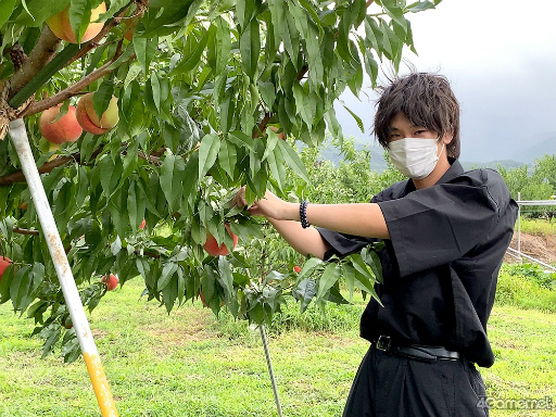 ���������꡼ No.013�Υ���ͥ������ / �֤��󥹥��������ۿ����ȡ�CAFE CINNAMON �˥������å������5���Ͽ�����������ݡ��ȡ����Ƚ�β��������ǥե롼�ĥݥ����Ĥ��롪