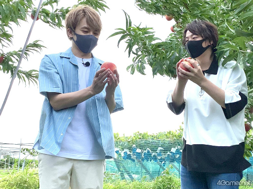 ���������꡼ No.014�Υ���ͥ������ / �֤��󥹥��������ۿ����ȡ�CAFE CINNAMON �˥������å������5���Ͽ�����������ݡ��ȡ����Ƚ�β��������ǥե롼�ĥݥ����Ĥ��롪