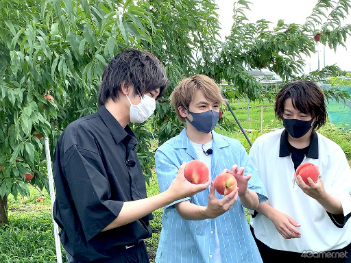 ���������꡼ No.015�Υ���ͥ������ / �֤��󥹥��������ۿ����ȡ�CAFE CINNAMON �˥������å������5���Ͽ�����������ݡ��ȡ����Ƚ�β��������ǥե롼�ĥݥ����Ĥ��롪