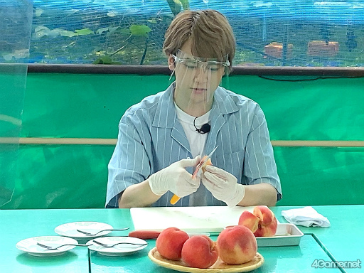 ���������꡼ No.018�Υ���ͥ������ / �֤��󥹥��������ۿ����ȡ�CAFE CINNAMON �˥������å������5���Ͽ�����������ݡ��ȡ����Ƚ�β��������ǥե롼�ĥݥ����Ĥ��롪