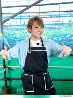 ���������꡼ No.035�Υ���ͥ������ / �֤��󥹥��������ۿ����ȡ�CAFE CINNAMON �˥������å������5���Ͽ�����������ݡ��ȡ����Ƚ�β��������ǥե롼�ĥݥ����Ĥ��롪