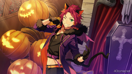 ���������꡼ No.025�Υ���ͥ������ / �֤��󥹥������ץ��ȡ��꡼�Ҳ�Ϣ����33�󡣥ϥ��������Ϣ�β��ȡ��꡼����Ҳ�����ɤ�������