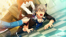 ���������꡼ No.028�Υ���ͥ������ / �֤��󥹥������ץ��ȡ��꡼�Ҳ�Ϣ����33�󡣥ϥ��������Ϣ�β��ȡ��꡼����Ҳ�����ɤ�������