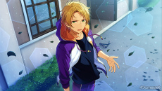 ���������꡼ No.070�Υ���ͥ������ / �֤��󥹥������ץ��ȡ��꡼�Ҳ�Ϣ����33�󡣥ϥ��������Ϣ�β��ȡ��꡼����Ҳ�����ɤ�������