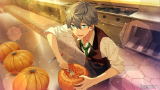 ���������꡼ No.071�Υ���ͥ������ / �֤��󥹥������ץ��ȡ��꡼�Ҳ�Ϣ����33�󡣥ϥ��������Ϣ�β��ȡ��꡼����Ҳ�����ɤ�������