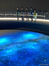 ꡼ No.007 | ֤󥹥ή⥭㥹5ͽ硪˥åȤؤۤդ줿ήѥåס֡׼ϿݡȡϿ奤󥿥ӥ塼