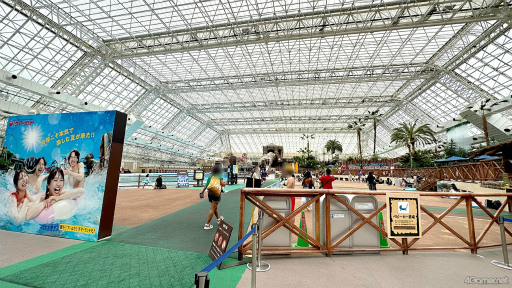 ꡼ No.005 | ƤסȤ󥹥ɤβƤϡ2winkסCrazy:BפȤ̳롤ޡɤ˽гݤ褦