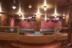 ꡼ No.022 | ƤסȤ󥹥ɤβƤϡ2winkסCrazy:BפȤ̳롤ޡɤ˽гݤ褦