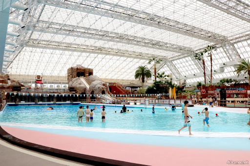 ꡼ No.024 | ƤסȤ󥹥ɤβƤϡ2winkסCrazy:BפȤ̳롤ޡɤ˽гݤ褦