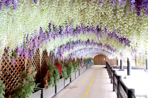 ꡼ No.032 | ƤסȤ󥹥ɤβƤϡ2winkסCrazy:BפȤ̳롤ޡɤ˽гݤ褦