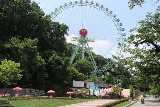 ꡼ No.036 | ƤסȤ󥹥ɤβƤϡ2winkסCrazy:BפȤ̳롤ޡɤ˽гݤ褦