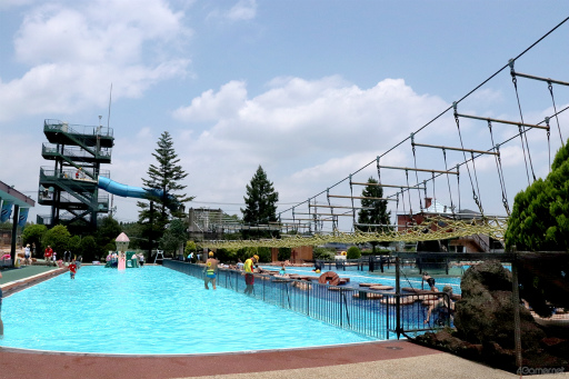 ꡼ No.039 | ƤסȤ󥹥ɤβƤϡ2winkסCrazy:BפȤ̳롤ޡɤ˽гݤ褦