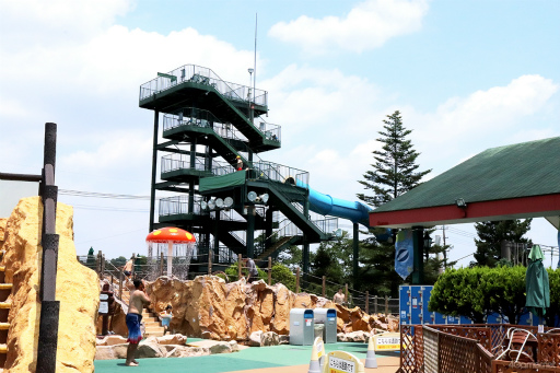 ꡼ No.041 | ƤסȤ󥹥ɤβƤϡ2winkסCrazy:BפȤ̳롤ޡɤ˽гݤ褦