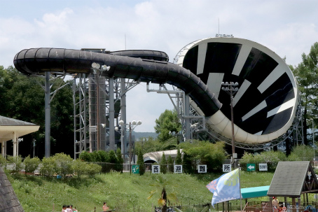 ꡼ No.043 | ƤסȤ󥹥ɤβƤϡ2winkסCrazy:BפȤ̳롤ޡɤ˽гݤ褦