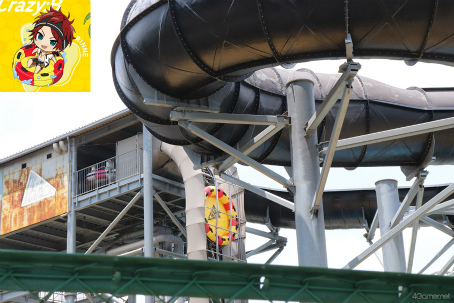 ꡼ No.044 | ƤסȤ󥹥ɤβƤϡ2winkסCrazy:BפȤ̳롤ޡɤ˽гݤ褦