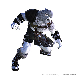 ꡼ No.010 | FFXIV׳ĥѥåּΥ󥺡פξ󤬽ޤץ⡼󥵥Ȥץ