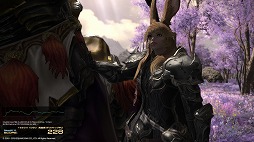 ꡼ No.022 | FFXIVΥ󥺡ץ٥ޡǿ²ΥᥤäƤߤ褦ͤιͤǶΡ֥פȡ֥פ򸫤Ƥ