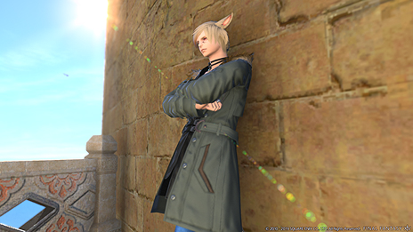 ꡼ No.022Υͥ / FFXIV: Υ󥺡סѥå5.1󡢹̩פΥƥĳפ꡼󥷥åȤȶ˸