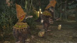 ���������꡼ No.001�Υ���ͥ������ / ��FFXIV: �����Υ�����󥺡ס��ѥå�5.2���ɲ��ζ����פ��ɲä���뿷����ƥ�Ĥξ�����Ϥ��������������Υӥ��奢������