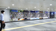 ���������꡼ No.007�Υ���ͥ������ / ��FFXIV�ץե꡼�ȥ饤�����������㥱�åȤϤ鷺��3���֤����۽�λ�����饹�Ⱥ��ʤ��ɻ������Ǥ���ץ쥼��ȴ�褬Amazon�ǥ�������