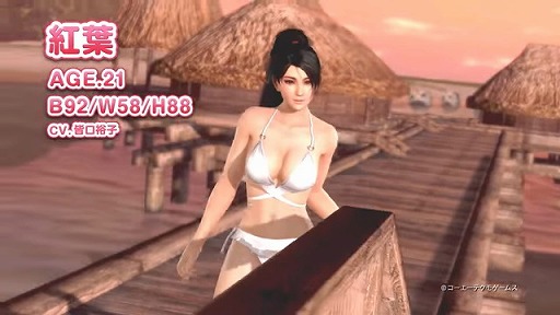 ꡼ No.003 | DEAD OR ALIVE Xtreme 3 ScarletסȹաɤȡȽŷɤХ󥹤ڤ।᡼ӥǥ