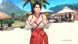 ꡼ No.005 | DEAD OR ALIVE Xtreme 3 ScarletסȹաɤȡȽŷɤХ󥹤ڤ।᡼ӥǥ