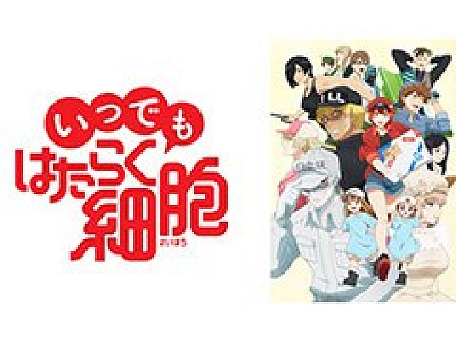 いつでもはたらく細胞」が発表に。TVアニメ「はたらく細胞」で初となる