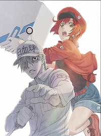 ꡼ No.004Υͥ / ֤ĤǤϤ餯˦סڥץ쥼ȤϿڡ󤬳