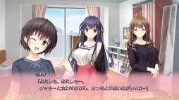 ꡼ No.004 | ADV֥ץסSwitchǤ1220ȯꡣθǤۿ