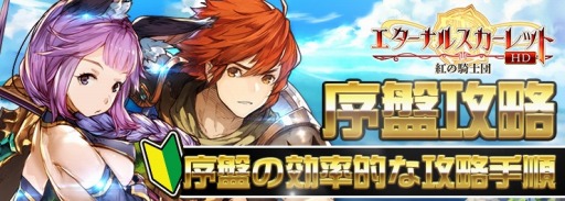 ꡼ No.001Υͥ / ֥ʥ륹åȡHDǽפΤṶά䥮ɤγˡ