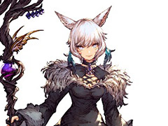 FFBE פȡFFXIV: Υ󥺡ץܤ³󤬸