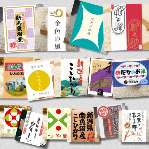 ꡼ No.002Υͥ / ֤ɤǤ⥭å㡼סΤƥեɤϡVTuberȤΥܴ