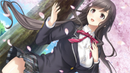 ꡼ No.010 | ADV֥ե륭פPS4/PS VitaǤ2019ǯ328ȯꡣȡ꡼갦ॢեפϿ