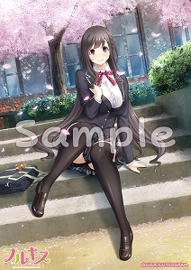 ꡼ No.005 | ֥ե륭סŹͽŵƤȥ饹Ȥ