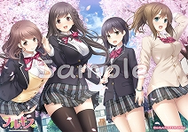 ꡼ No.009 | ֥ե륭סŹͽŵƤȥ饹Ȥ