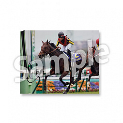 画像ギャラリー No.002のサムネイル画像 / 「Winning Post 9」と「netkeiba.com」の共同企画“平成のライバル対決総選挙”が開始。Twitter投票で平成No.1のライバル対決を決める