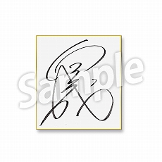 画像ギャラリー No.007のサムネイル画像 / 「Winning Post 9」と「netkeiba.com」の共同企画“平成のライバル対決総選挙”が開始。Twitter投票で平成No.1のライバル対決を決める