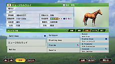 ꡼ No.007 | ϥWinning Post 9ס饤ХطǤ۹ȡ2019ǯϥǡб˴ؤǿ󤬸