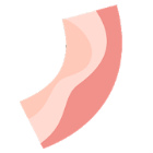 �ѥå�����