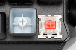 ꡼ No.027 | DREVOܡɡBladeMaster TEץӥ塼¦̤˥Υ֤10쥹ǥϥˤɤʲͤ⤿餹