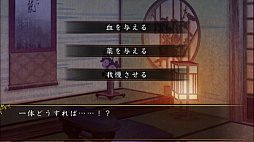 ���������꡼ No.012�Υ���ͥ������ / ���������������ɥ٥���㡼�������� ���� for iOS & Android�פ���꡼����PS Vita��ȯ�䤵�줿�����ξϡפȡֲڥξϡפ�2�����ȥ뤬���ޥۤǳڤ����