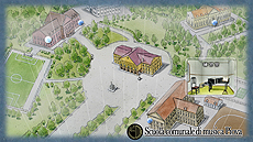 ꡼ No.012 | Ʋ֥ե˥å쥤SwitchǤۿȡ1219ޤǤȾۤǽ