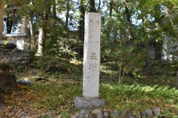 ꡼ No.001Υͥ / OutwardפħȤȥХХɤǤꥢθǥƱĥͤݡ