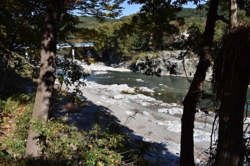 ꡼ No.002Υͥ / OutwardפħȤȥХХɤǤꥢθǥƱĥͤݡ