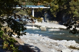 ꡼ No.003Υͥ / OutwardפħȤȥХХɤǤꥢθǥƱĥͤݡ