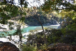 ꡼ No.004Υͥ / OutwardפħȤȥХХɤǤꥢθǥƱĥͤݡ