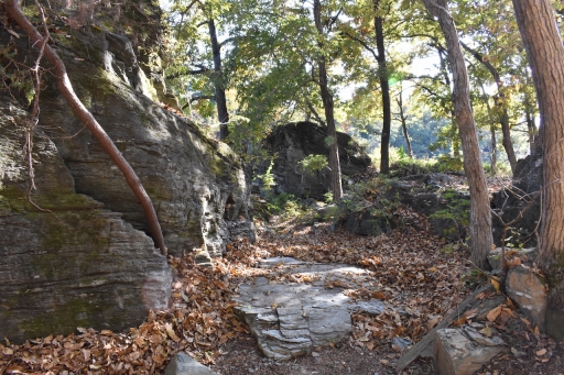 ꡼ No.006Υͥ / OutwardפħȤȥХХɤǤꥢθǥƱĥͤݡ