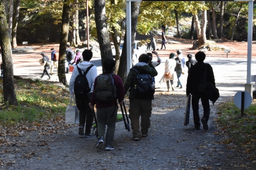 ꡼ No.013Υͥ / OutwardפħȤȥХХɤǤꥢθǥƱĥͤݡ