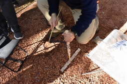 ꡼ No.029Υͥ / OutwardפħȤȥХХɤǤꥢθǥƱĥͤݡ