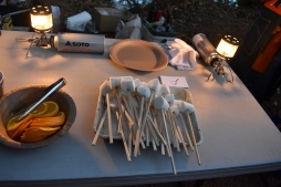 ꡼ No.043Υͥ / OutwardפħȤȥХХɤǤꥢθǥƱĥͤݡ